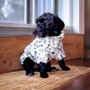 Hand knitted Chunky Warm Speckled Dog Jumper - 3 Colours Grey, Plum & Red