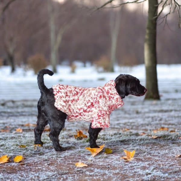Hand knitted Chunky Warm Speckled Dog Jumper - 3 Colours Grey, Plum & Red - Image 3