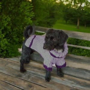 Hand Knitted Cosy 2 Toned Purple Chunky Dog Jumper