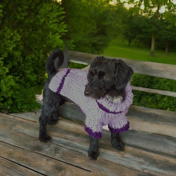 Hand Knitted Cosy 2 Toned Purple Chunky Dog Jumper