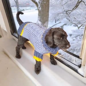 Hand Knitted Stylish 2 Blue Chunky Dog Jumper