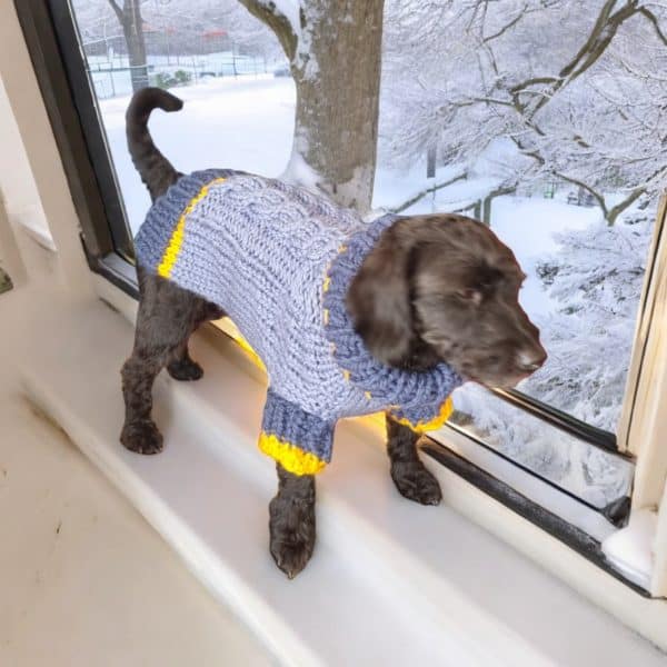 Hand Knitted Stylish 2 Blue Chunky Dog Jumper