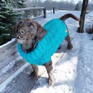 Striking Teal Square Patterned Hand knitted Dog Jumper