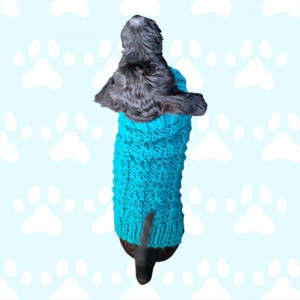 Striking Teal Square Patterned Hand knitted Dog Jumper - Image 2