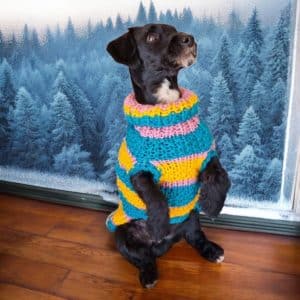 Multi-Stripped Stylish Hand knitted Chunky Dog Jumper